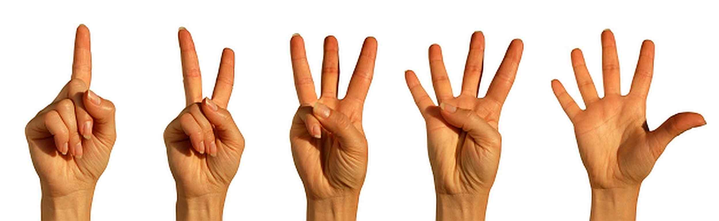 Five-Finger-Voting vote with your five fingers., five fingers
