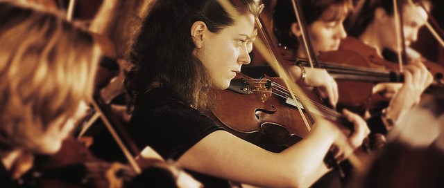 Violino Section Playing